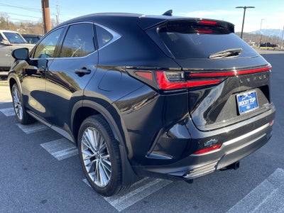 2023 Lexus NX NX 350 Luxury