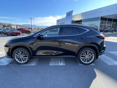 2023 Lexus NX NX 350 Luxury
