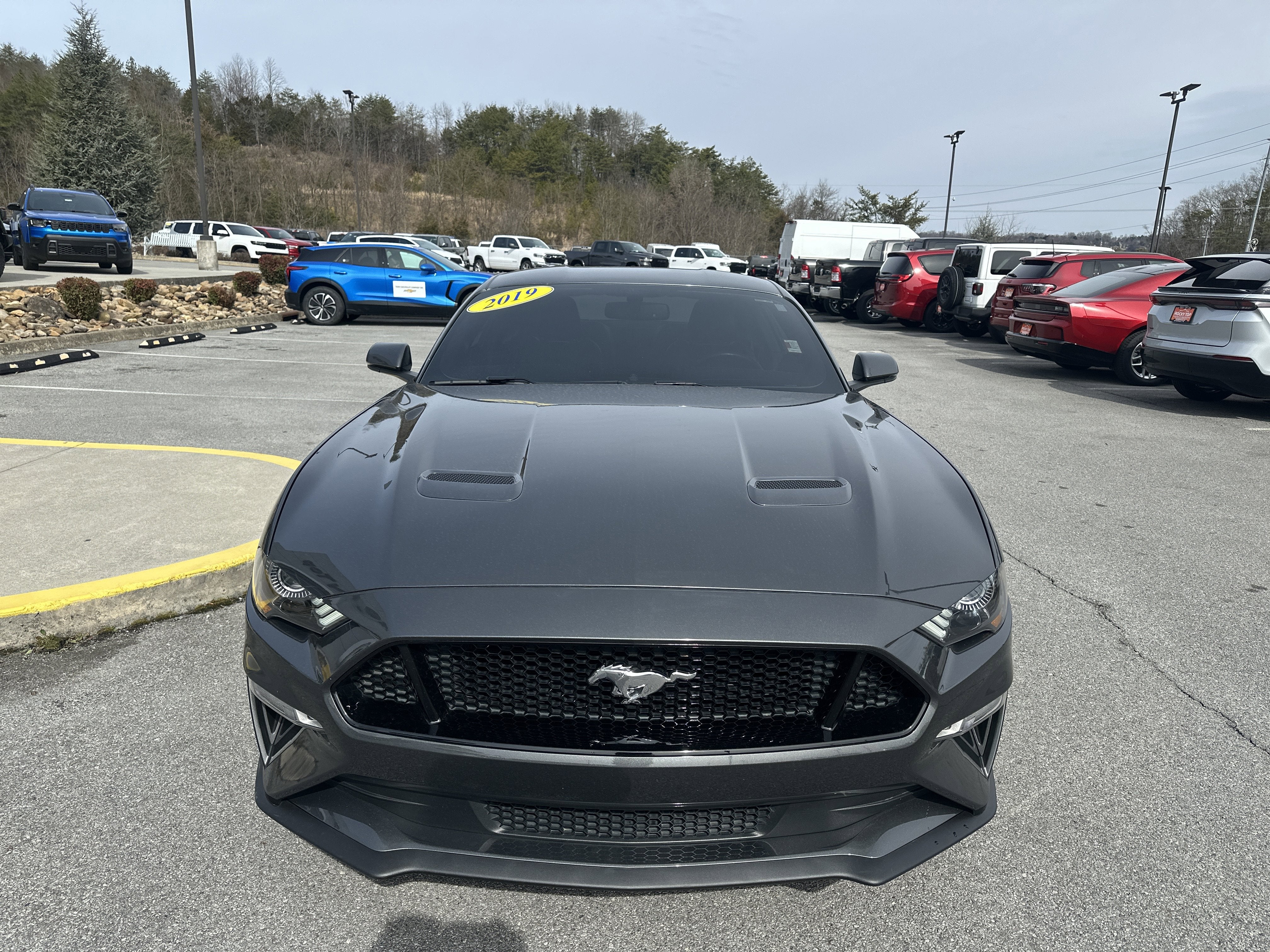 2019 Ford Mustang GT Premium