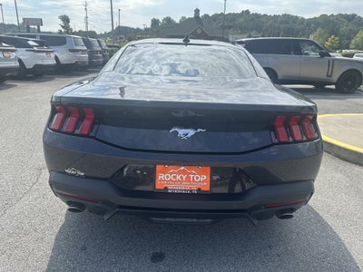 2024 Ford Mustang EcoBoost Fastback